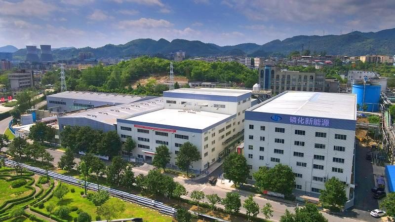 揭秘锂电池行业：十大品牌背后的技术解析与选购要点
